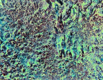 AP 131A1